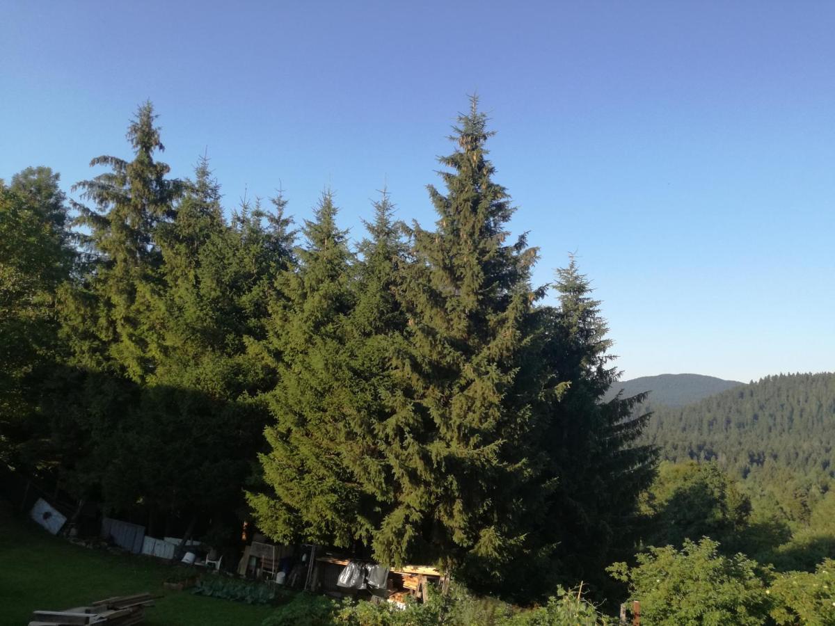 Kuca Za Odmor 
